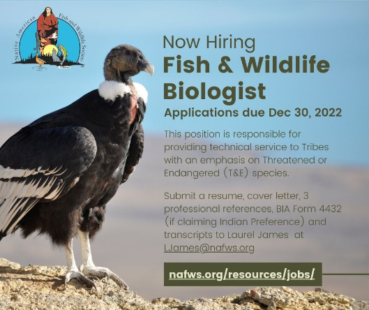 Native American Fish and Wildlife Society Vacancies