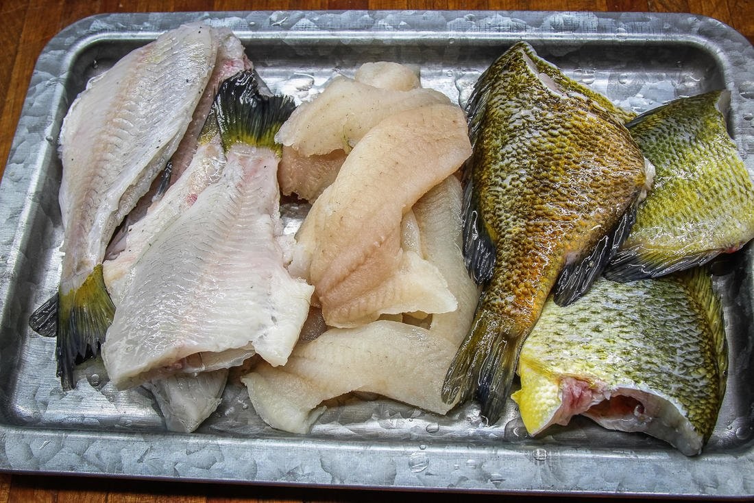 bluegill1