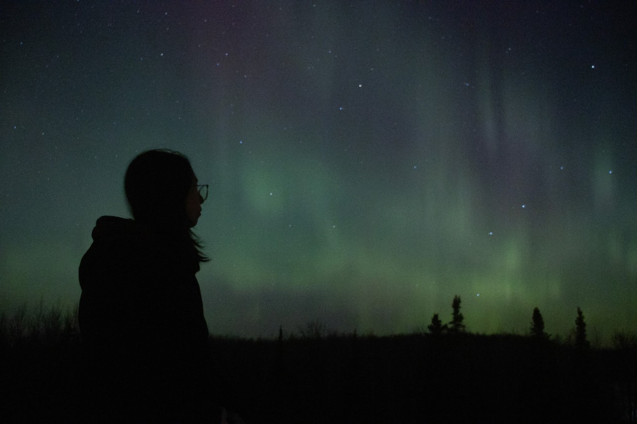 1854 News, BIBOON 2025/2026