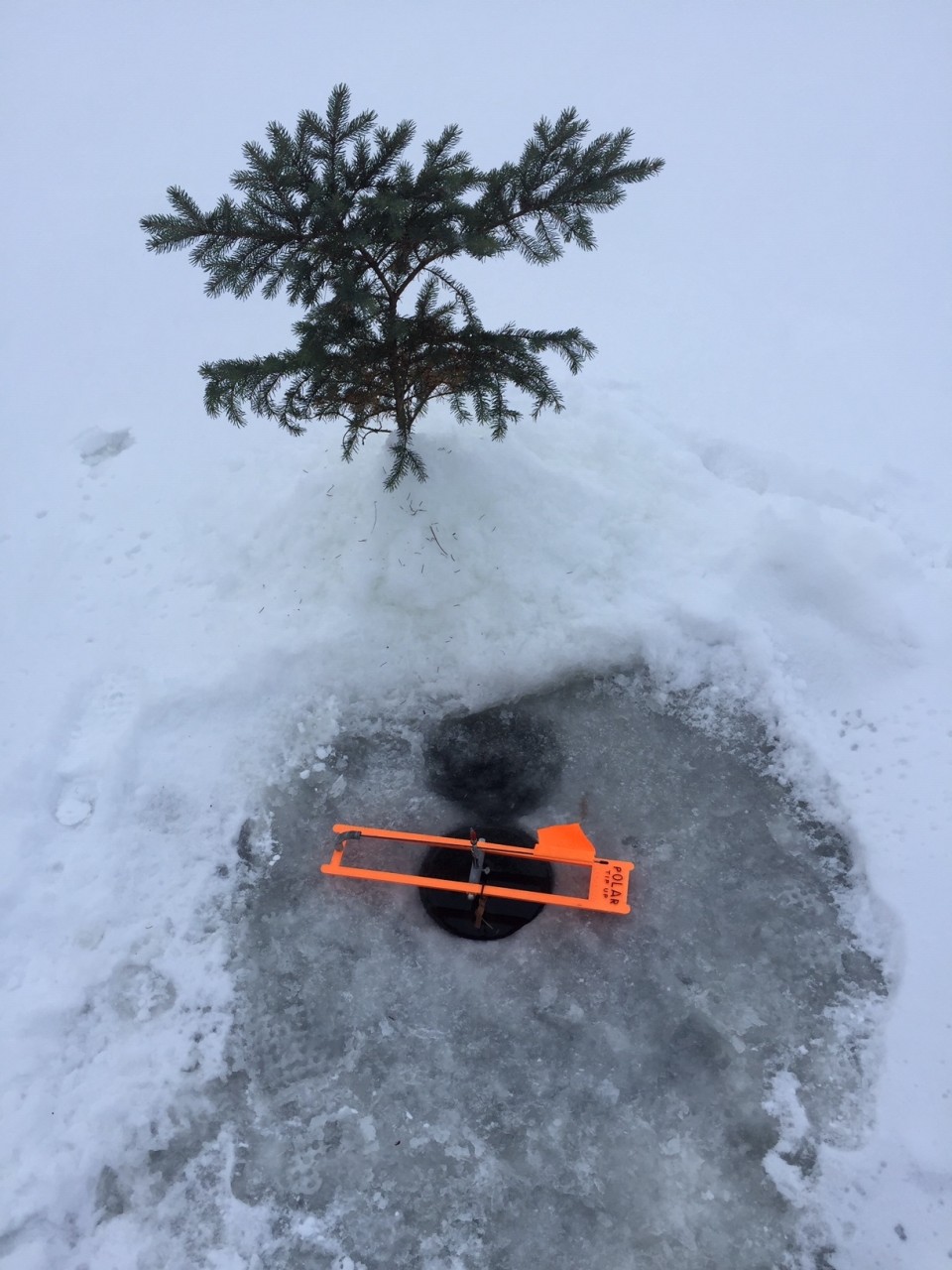 Setting UNATTENDED LINES?