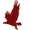 VACANCY: Forest Specialist